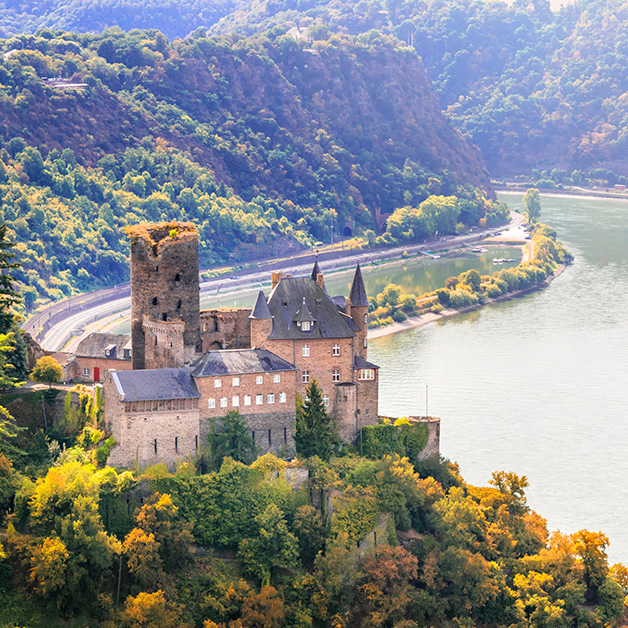 Rhine Gorge
